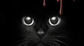 Timeline: El Gato Negro