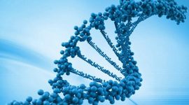 Timeline: Historia de la biología molecular