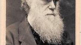 Timeline: Charles Robert Darwin: Feb 12, 1809 - April 19,1882