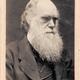 Charles darwin