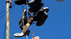 Timeline: Destiny Rules?