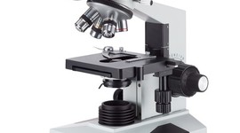 Timeline: Microscopio