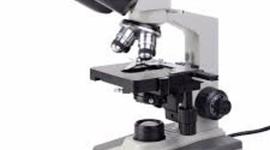 Timeline: Microscopio