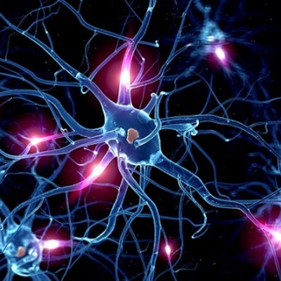 Timeline: Neuronas