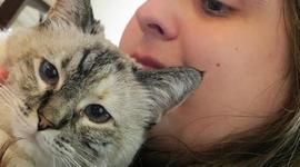 Timeline: The life of Richard