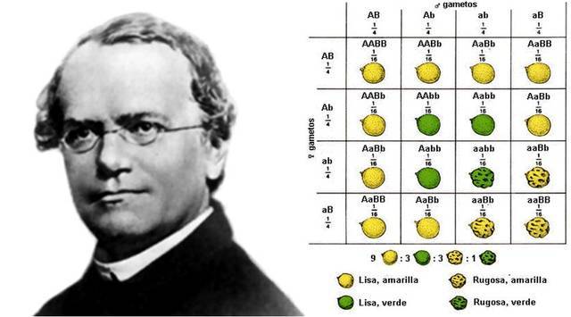 BIOLOGIA MOLECULAR timeline | Timetoast timelines