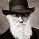 Darwin