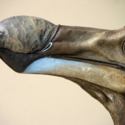 Timeline: Dodo Extinction Timeline