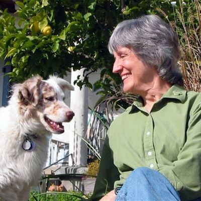 Timeline: Donna Haraway