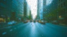 Timeline: TIMELINE EXPOSURE TO TRADITIONAL AND NEW MEDIA