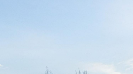 Timeline: My Exposure of Traditional and New Media