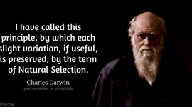 Timeline: Charles Darwin (12 Feb 1809-19 April 1882)