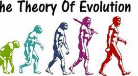 Timeline: Charles Darwin:02/12/1809 to 04/19/1889