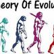 Evolution