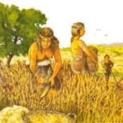 Timeline: Antecedentes de la nutrición y dietética