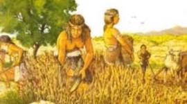 Timeline: Antecedentes de la nutrición y dietética