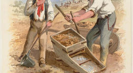 Timeline: Australian Gold Rush