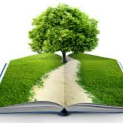 Timeline: Pedagogía del Ambiental