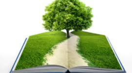 Timeline: Pedagogía del Ambiental