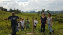 Timeline: Projeto Renascentes