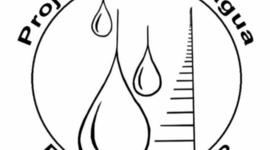 Timeline: Projeto Pingo d´Água.