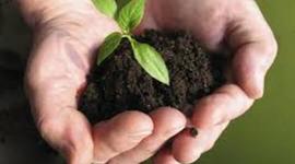 Timeline: EVOLUCION HISTORICA DE LA ECOLOGIA