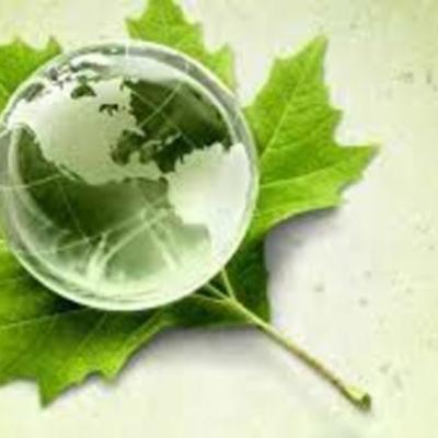 Timeline: Historia de la Auditoria Ambiental