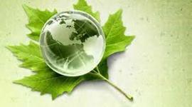 Timeline: Historia de la Auditoria Ambiental