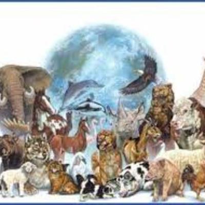 Timeline: la historia de los mamiferos