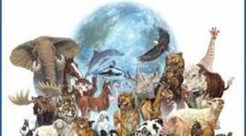 Timeline: la historia de los mamiferos