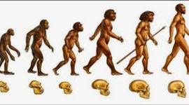 Timeline: El proceso de la hominización