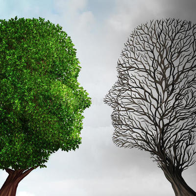 Timeline: Línea histórica de la Ecología