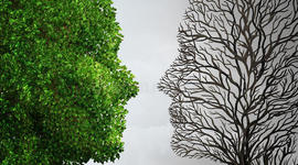 Timeline: Línea histórica de la Ecología