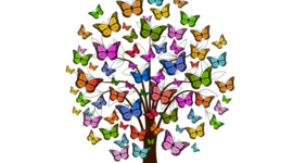 Timeline: Olas feministas