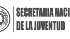 Timeline: Plan de Gestión Inmediata