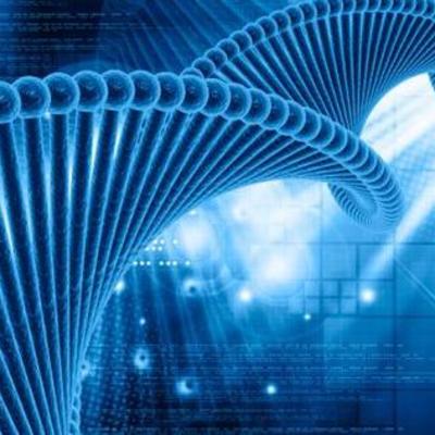 Timeline: Historia y Desarrollo de la Genética