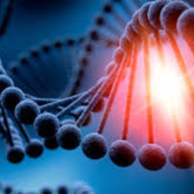 Timeline: LA GENETICA