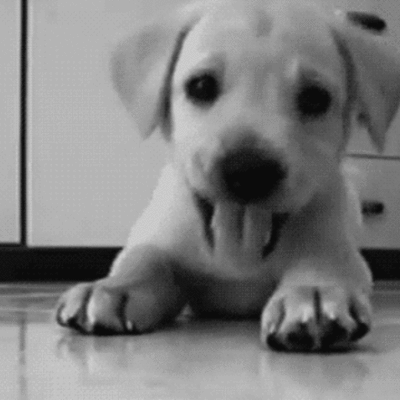 Timeline: My Excursión