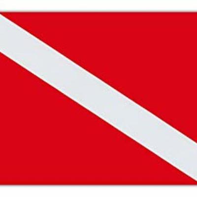 Timeline: A História do Mergulho