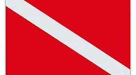 Timeline: A História do Mergulho