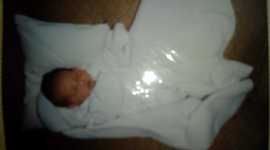 Timeline: linea del tiempo