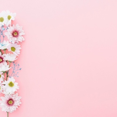 Timeline: desarrollo de la comunicacion