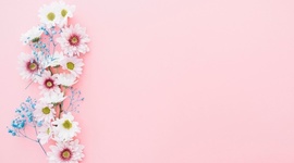 Timeline: desarrollo de la comunicacion