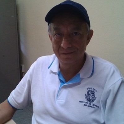 Timeline: My timeline_Reynaldo