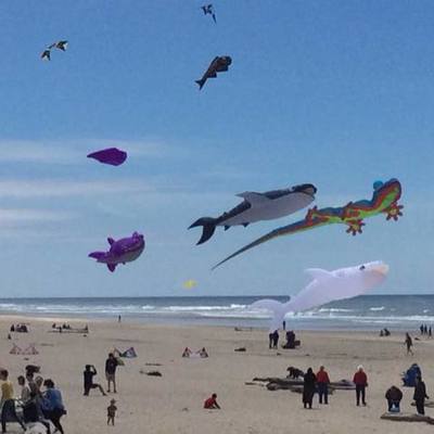 Timeline: Post-Term Curriculum Development Projects