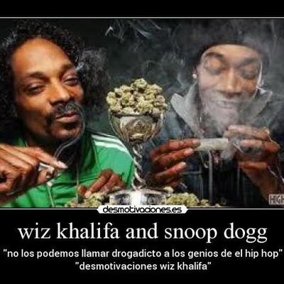 Timeline: hierva mala nunca mata