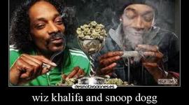 Timeline: hierva mala nunca mata