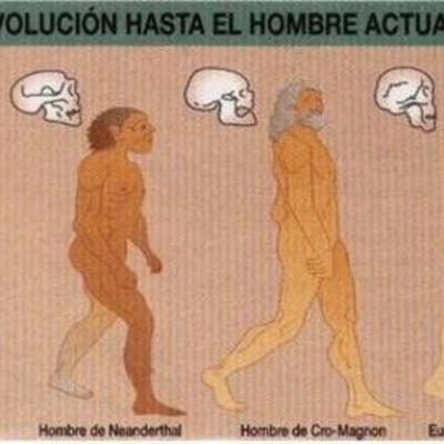 Timeline: EVOLUCIÓN DEL HOMBRE
