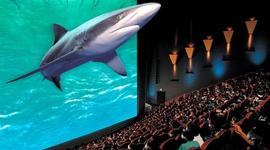 Timeline: evolucion del tienpo