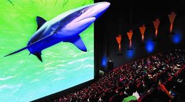 Timeline: la evolucion del cine